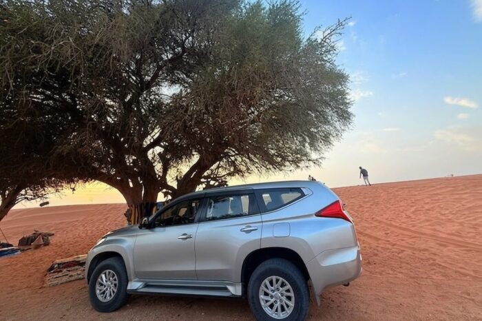 Excursion en 4×4 dans le désert du Petit Sahara