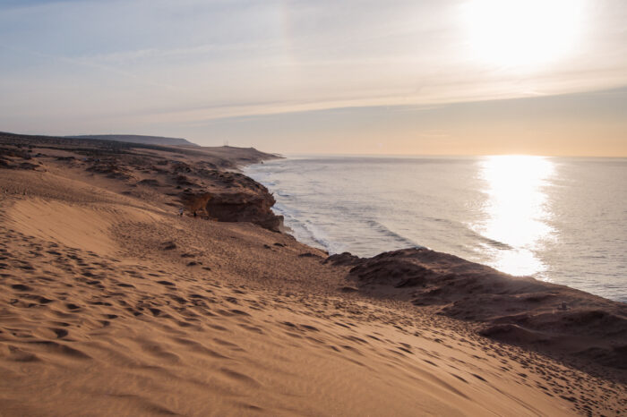 Sonnenuntergang in Timlaline